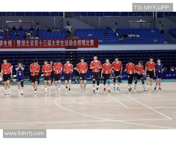 武汉排球队实力对比深度剖析与未来发展潜力探讨 武汉排球队实力对比深度剖析与未来发展潜力探讨