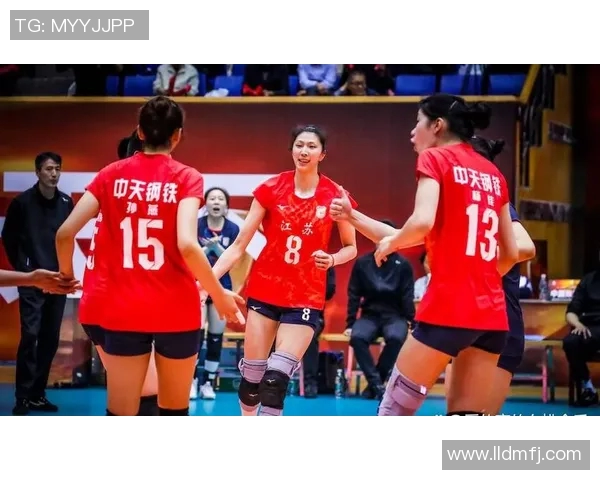 2014年八一女排与江苏女排激战回顾经典对决再现排球魅力与团队精神