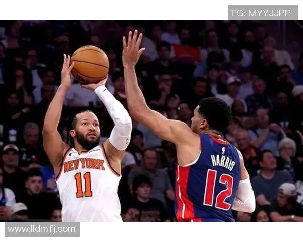 2009年NBA季后赛回顾尼克斯队的辉煌与挑战分析 2009年NBA季后赛回顾尼克斯队的辉煌与挑战分析