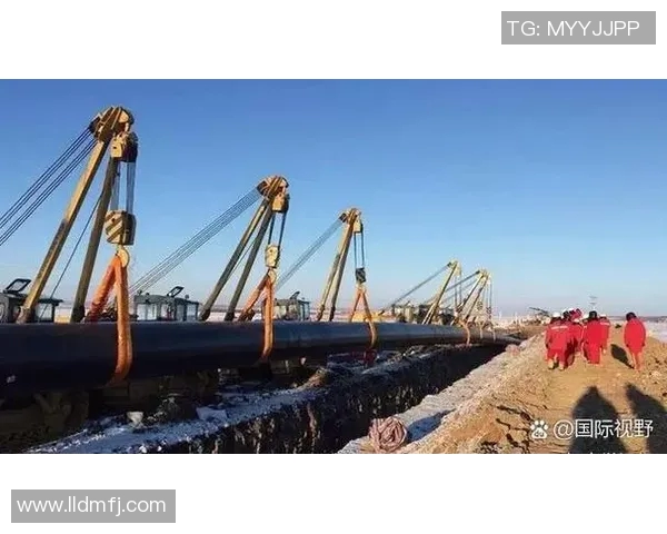 亚马尔地区的资源开发与国际合作前景分析与展望