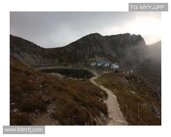 仙台七仙与山形山神激战在即谁能在这场对决中笑到最后