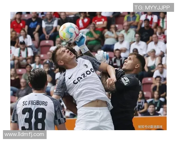 多特蒙德主场迎战弗莱堡争夺德甲积分榜关键战役