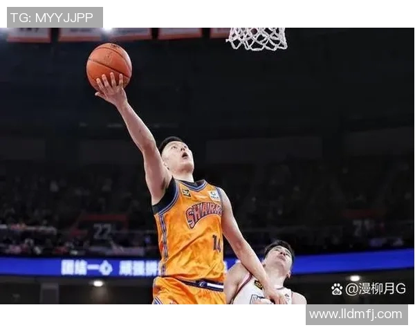 上海大鲨鱼与火箭2017年精彩对决回顾及赛季分析