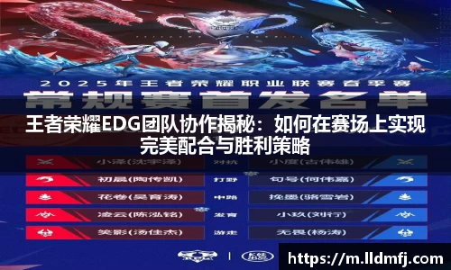 qyg体育官网入口
