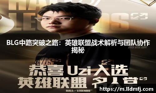 奇异果qyg网页版