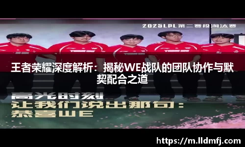 奇异果qyg网页版