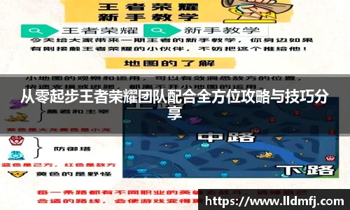 奇异果体育