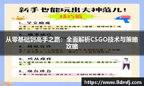 奇异果qyg网页版